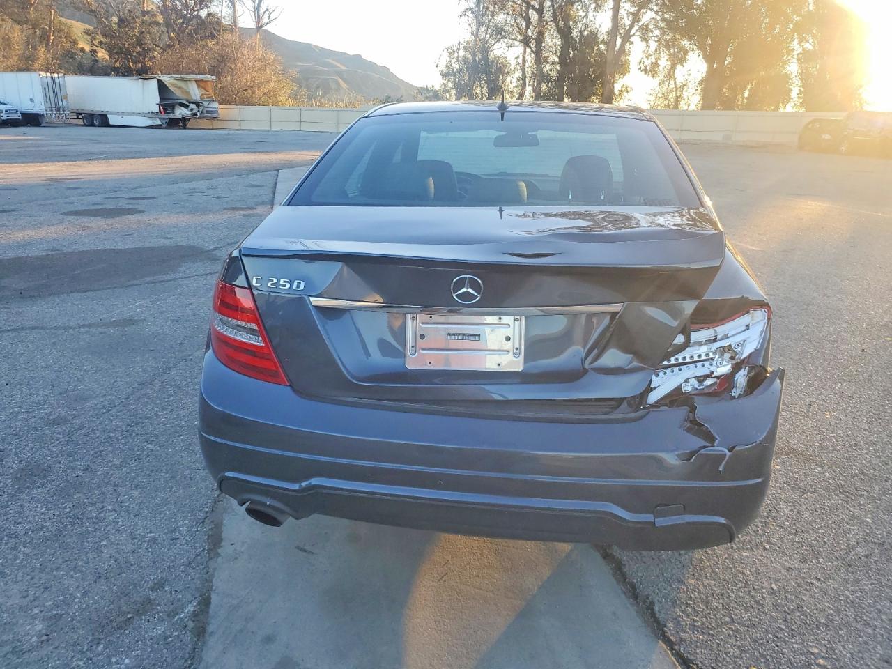2014 MERCEDES-BENZ C 250 photo 6