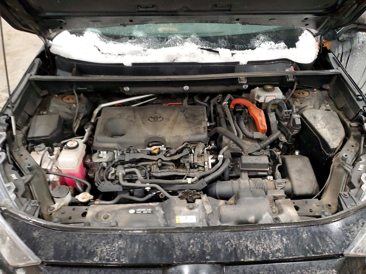 2019 TOYOTA RAV4 LE photo 12
