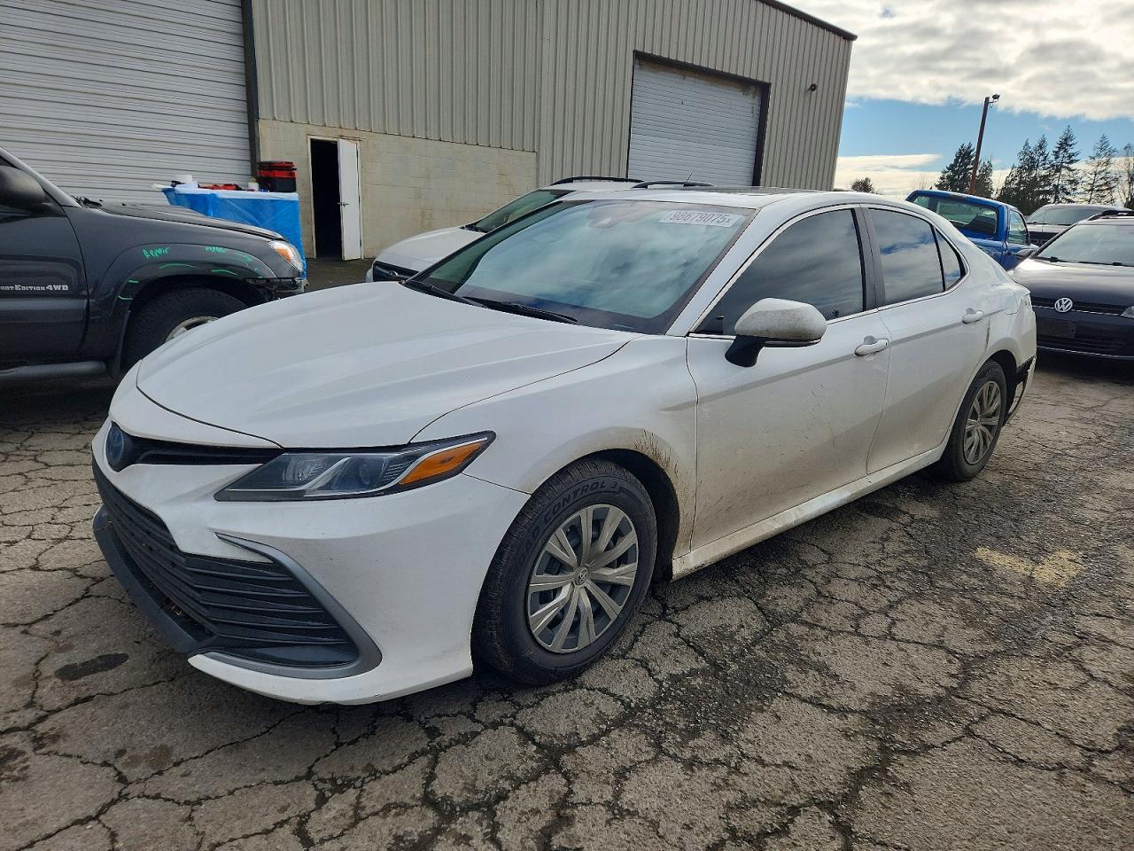 2023 TOYOTA CAMRY
