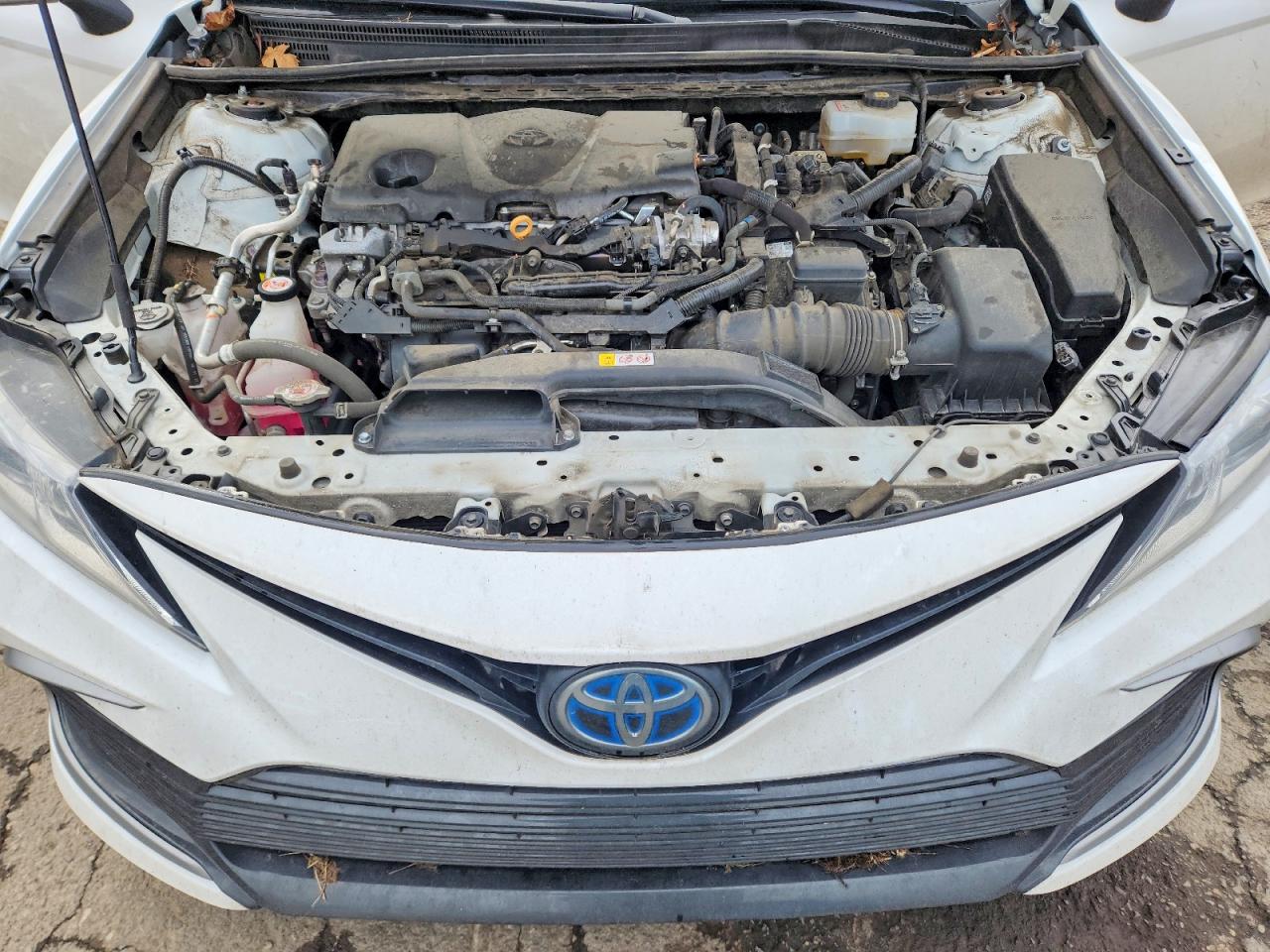 2023 TOYOTA CAMRY LE photo 11