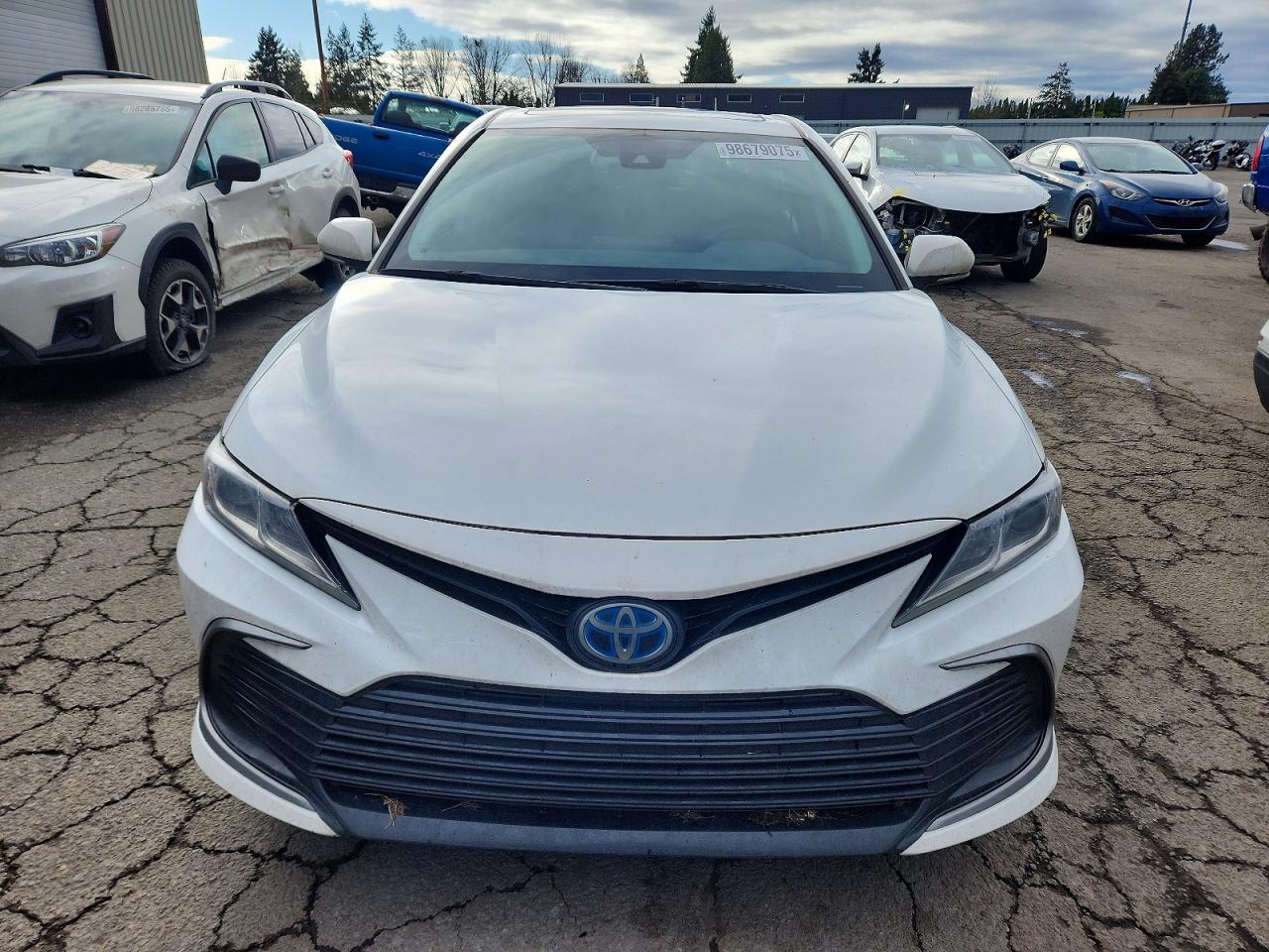 2023 TOYOTA CAMRY LE photo 5