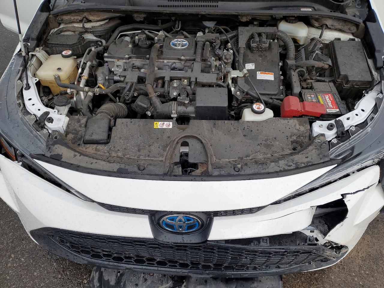 2020 TOYOTA COROLLA LE photo 11
