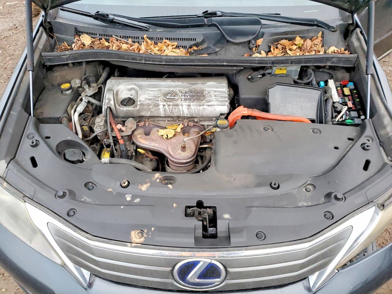 2010 LEXUS HS 250H photo 11
