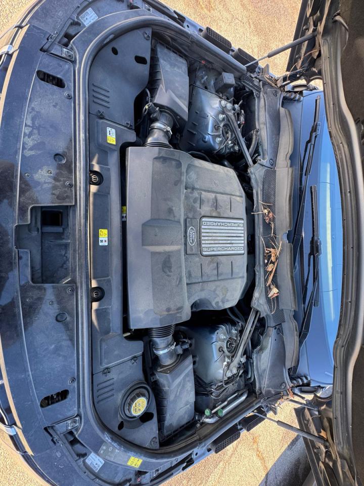 2019 LAND ROVER RANGE ROVER HSE photo 13