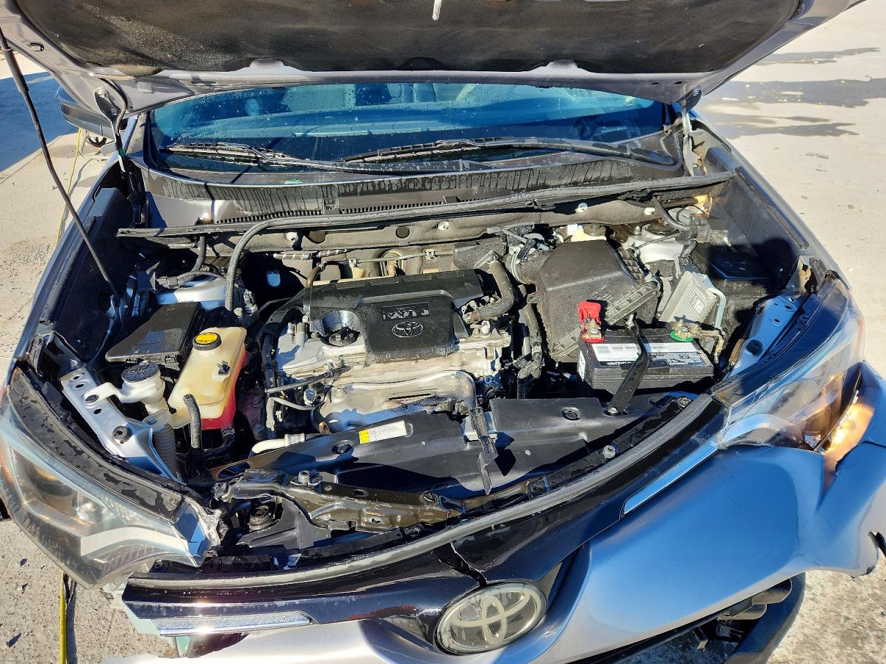 2017 TOYOTA RAV4 LE photo 12
