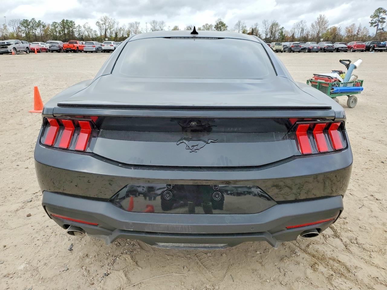 2025 FORD MUSTANG photo 6