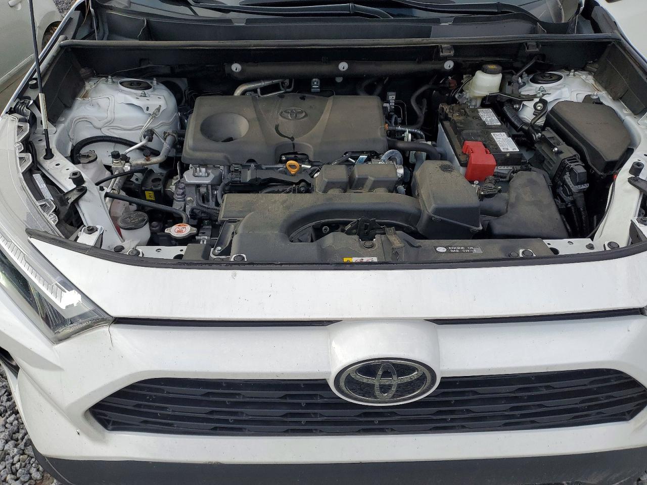 2025 TOYOTA RAV4 XLE photo 12
