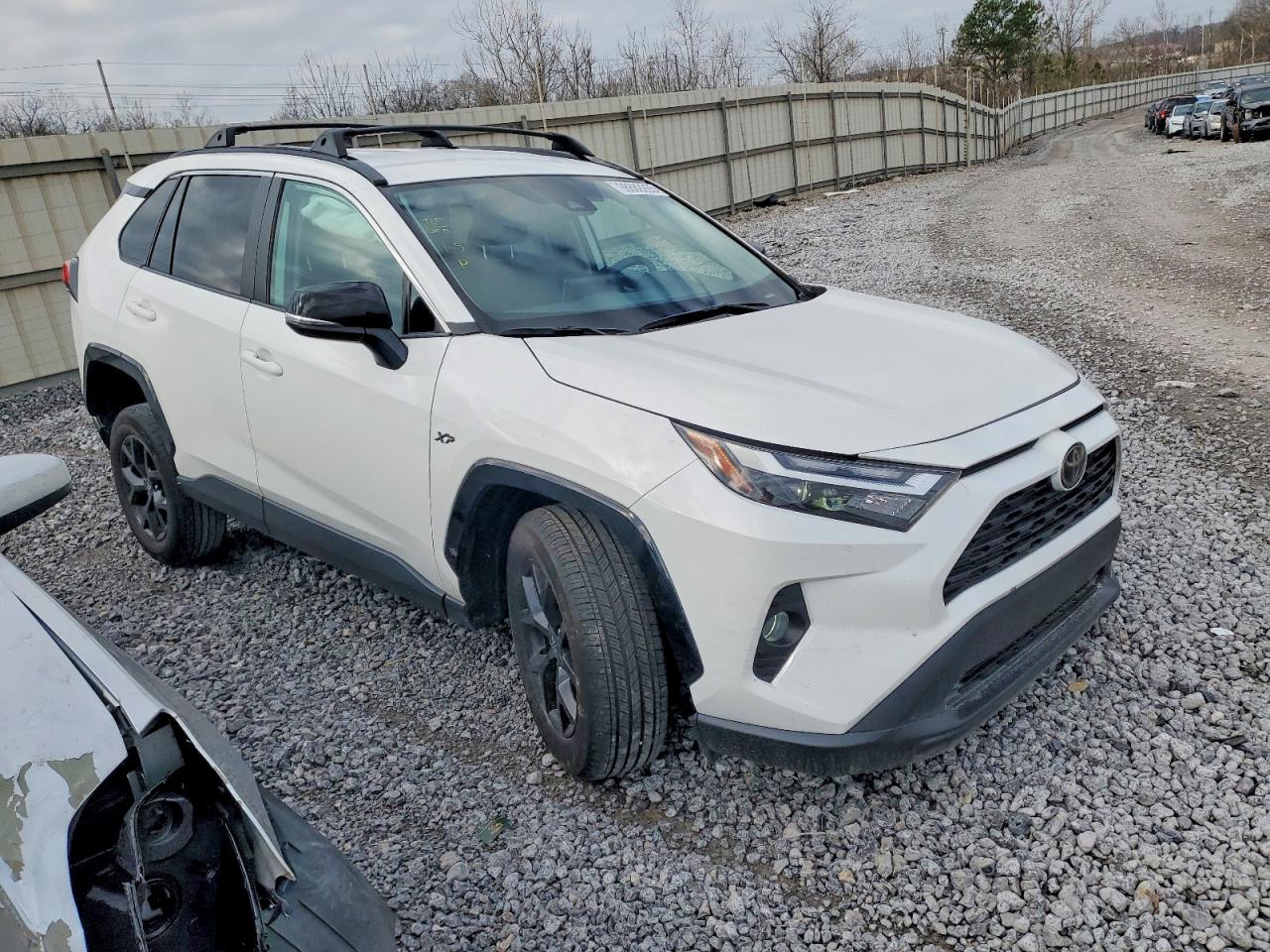2025 TOYOTA RAV4 XLE photo 4