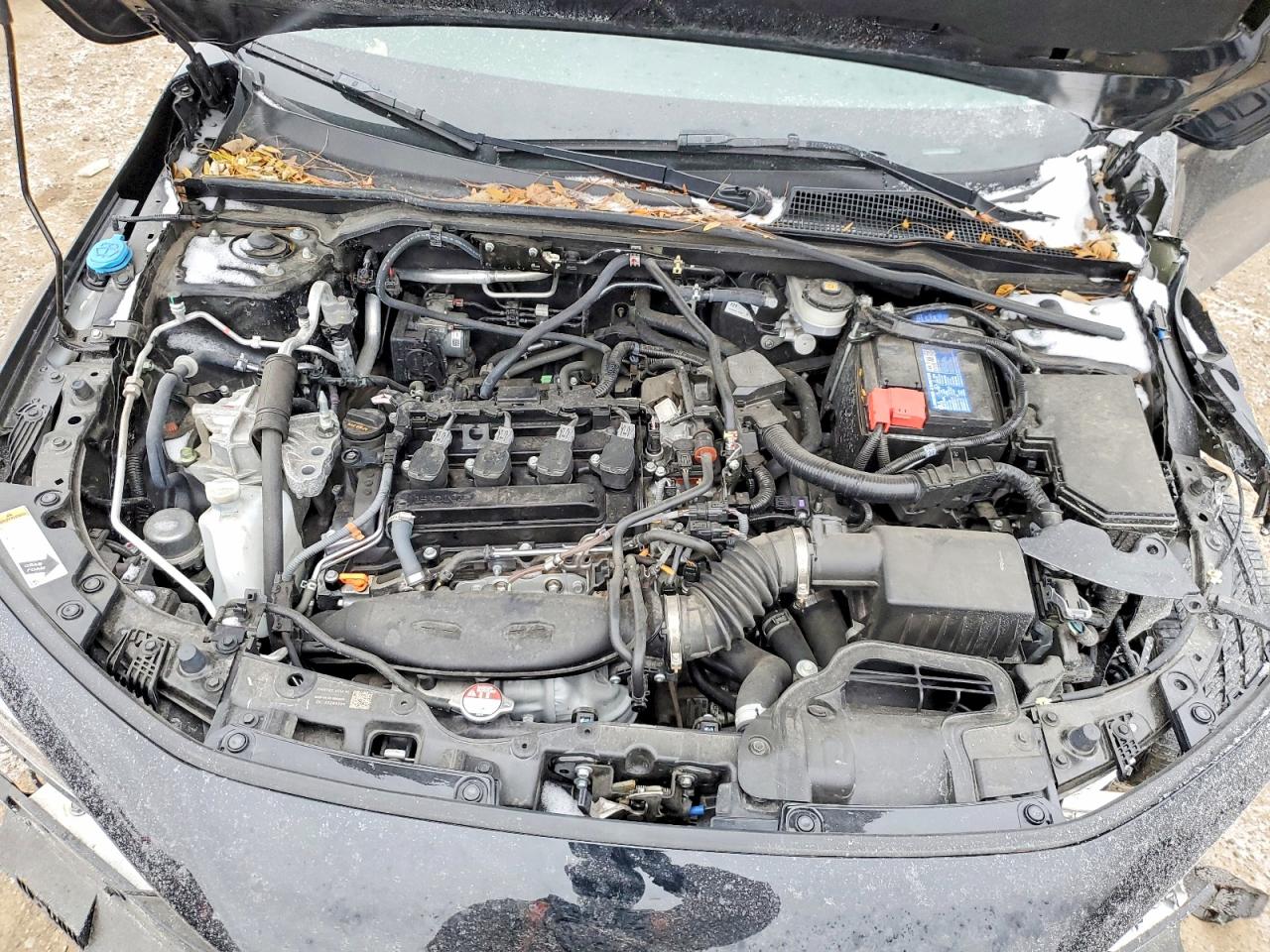 2023 HONDA CIVIC EX photo 11