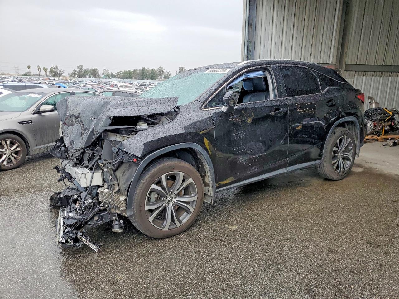 2019 LEXUS RX