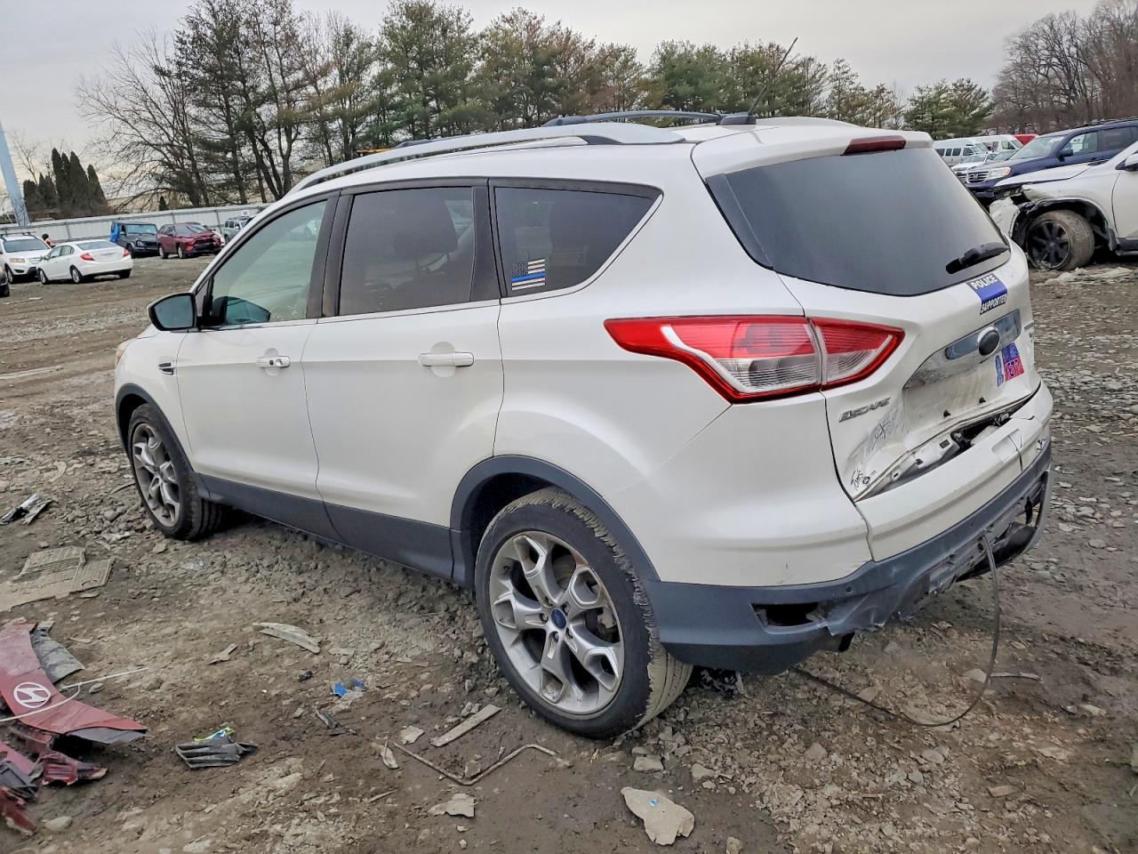 2014 FORD ESCAPE TITANIUM photo 2