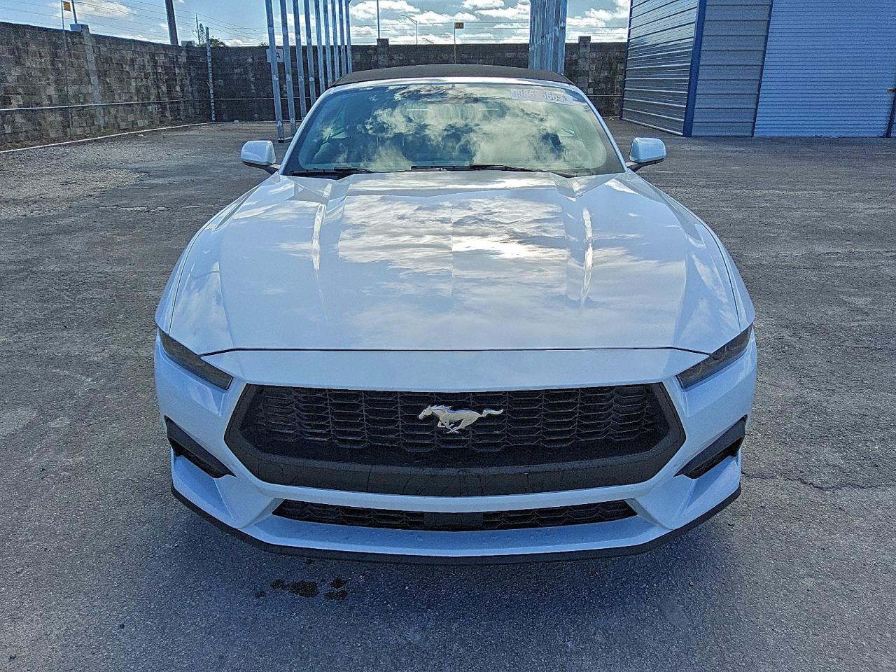 2025 FORD MUSTANG photo 5