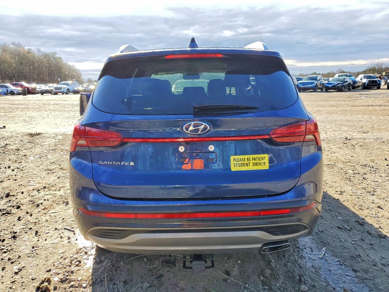 2023 HYUNDAI SANTA FE SEL photo 6