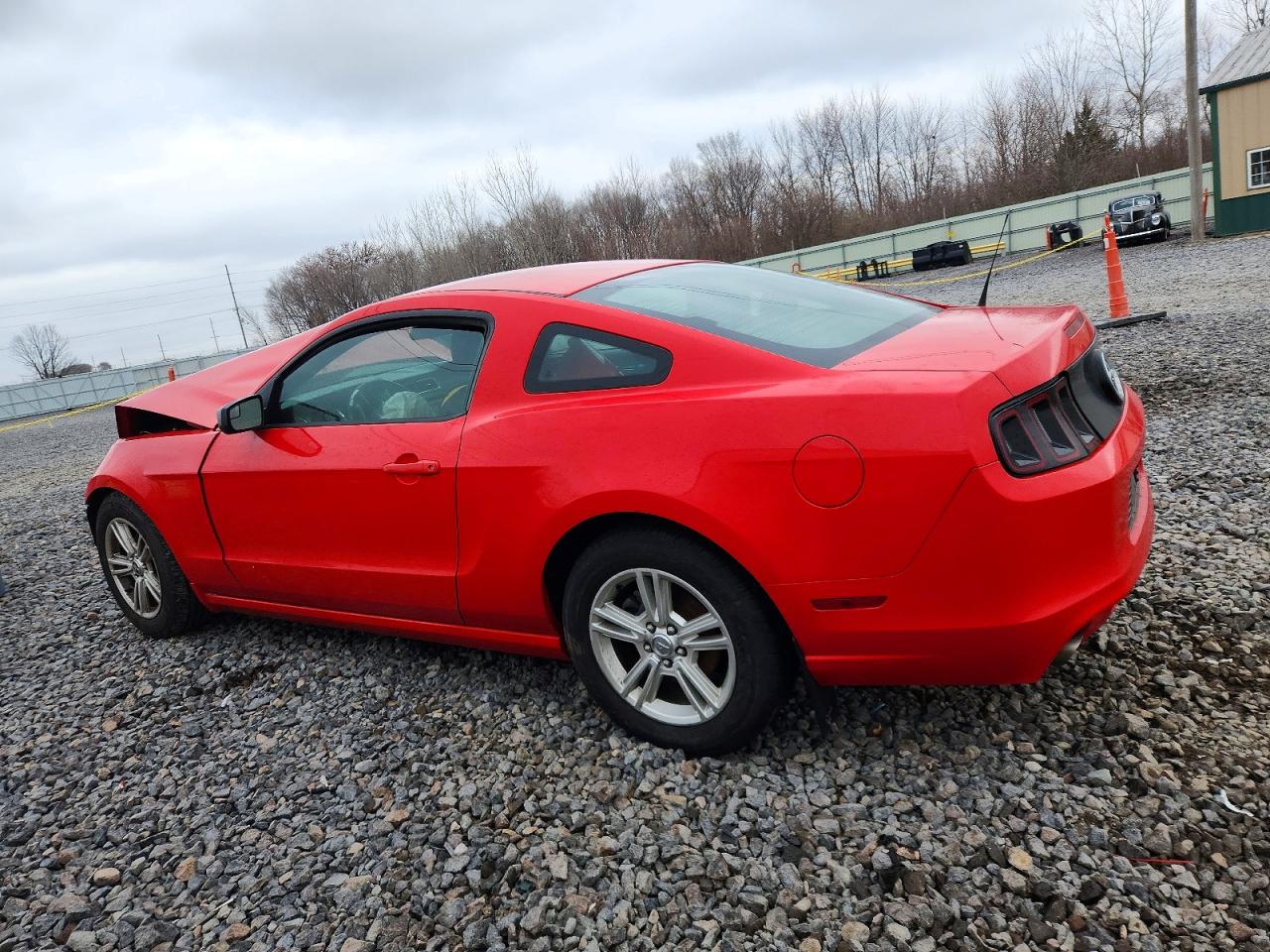 2014 FORD MUSTANG photo 2