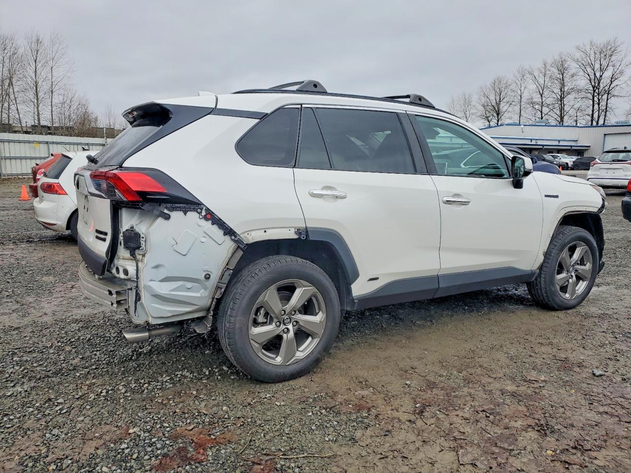 2019 TOYOTA RAV4 LIMITED photo 3