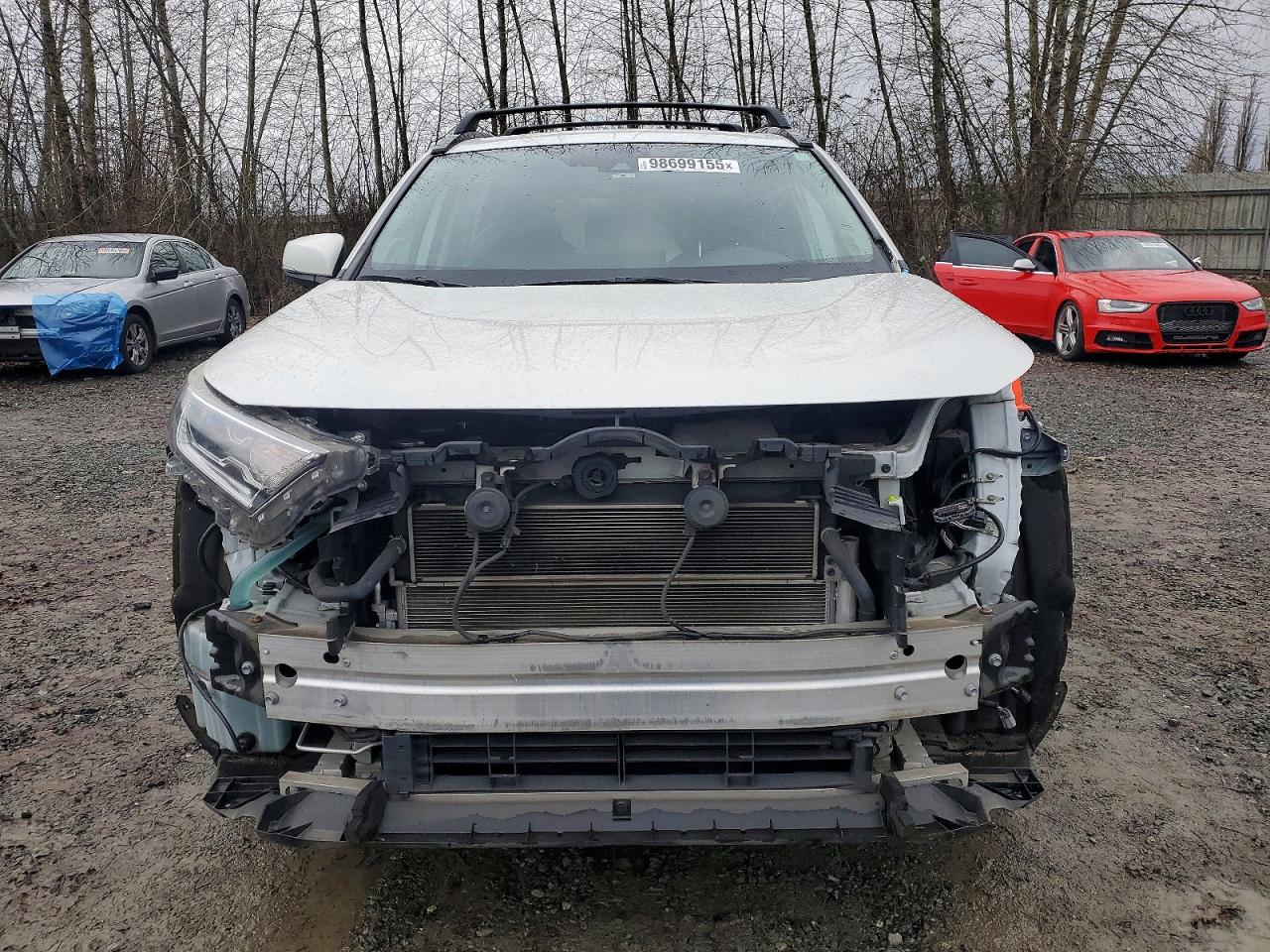 2019 TOYOTA RAV4 LIMITED photo 5