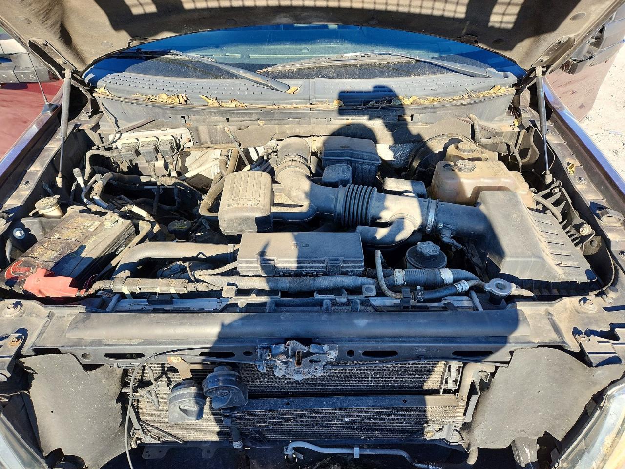 2009 FORD F150 SUPERCREW photo 11