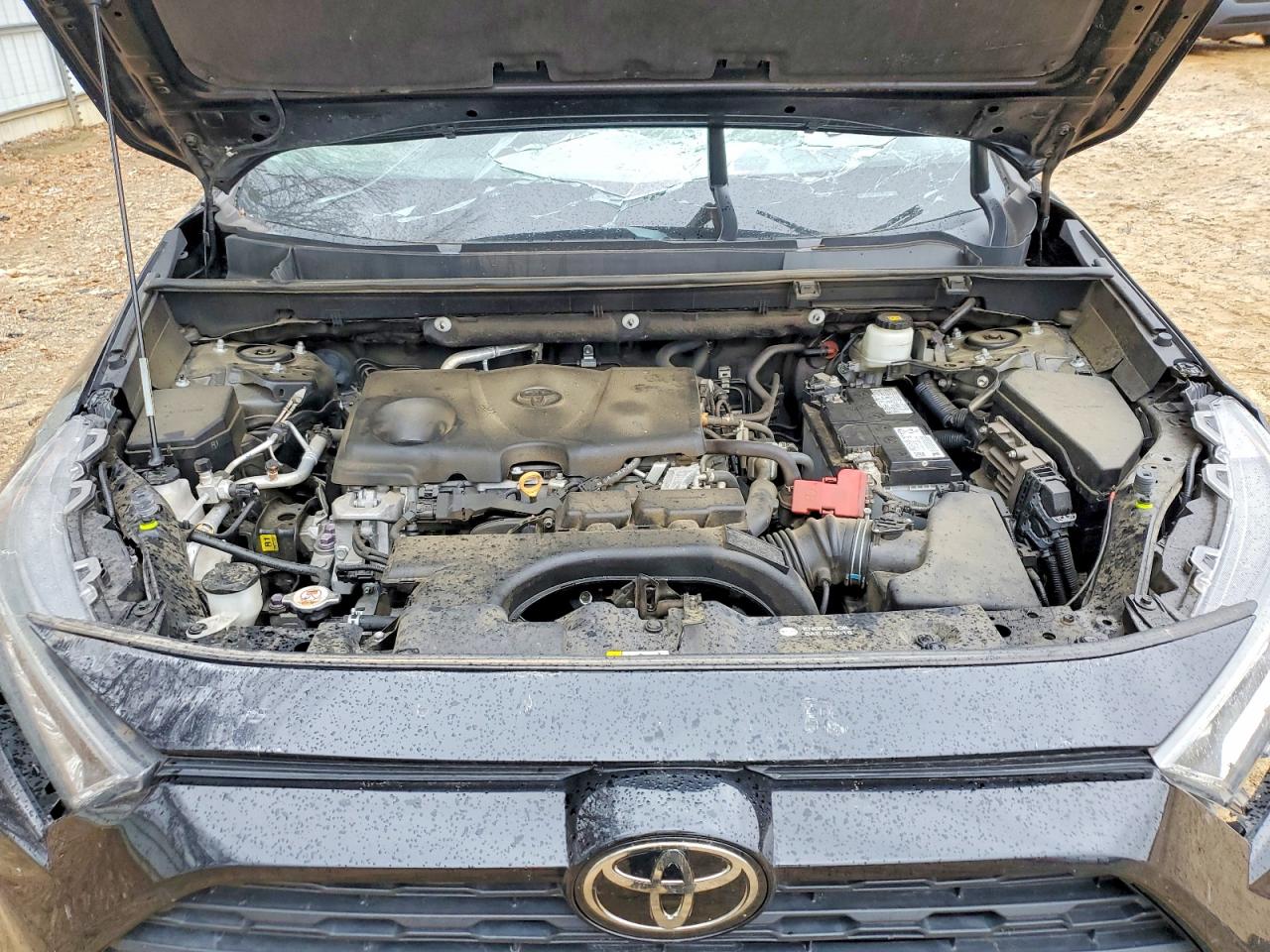 2021 TOYOTA RAV4 XLE photo 12
