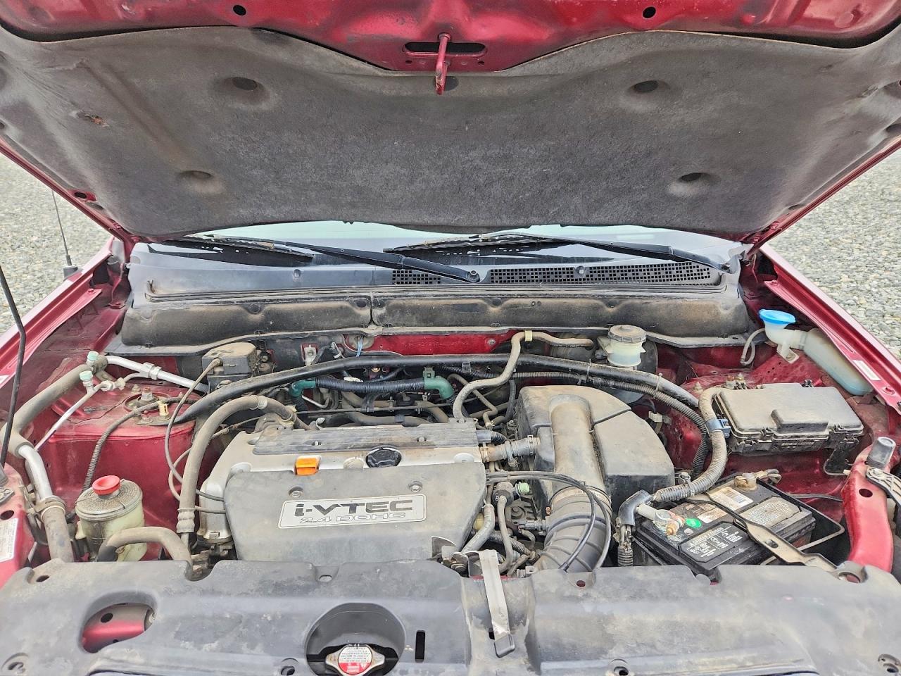 2004 HONDA CR-V LX photo 12
