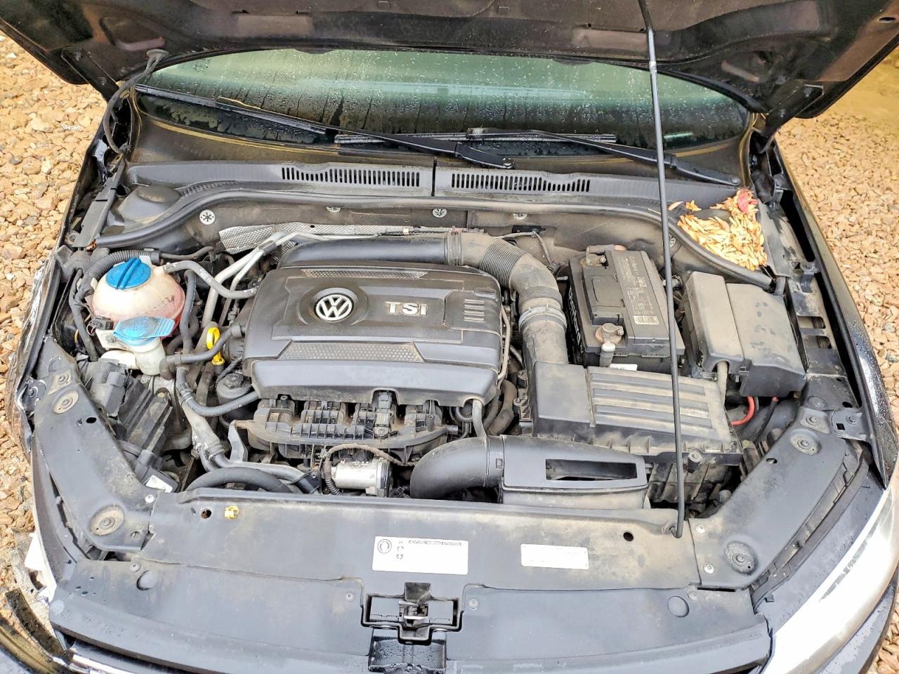 2014 VOLKSWAGEN JETTA SE photo 11