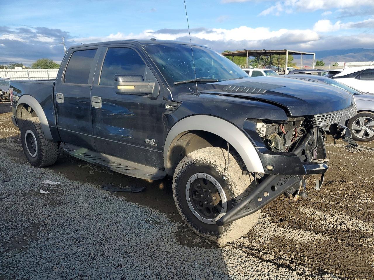 2013 FORD F150 SVT RAPTOR photo 4