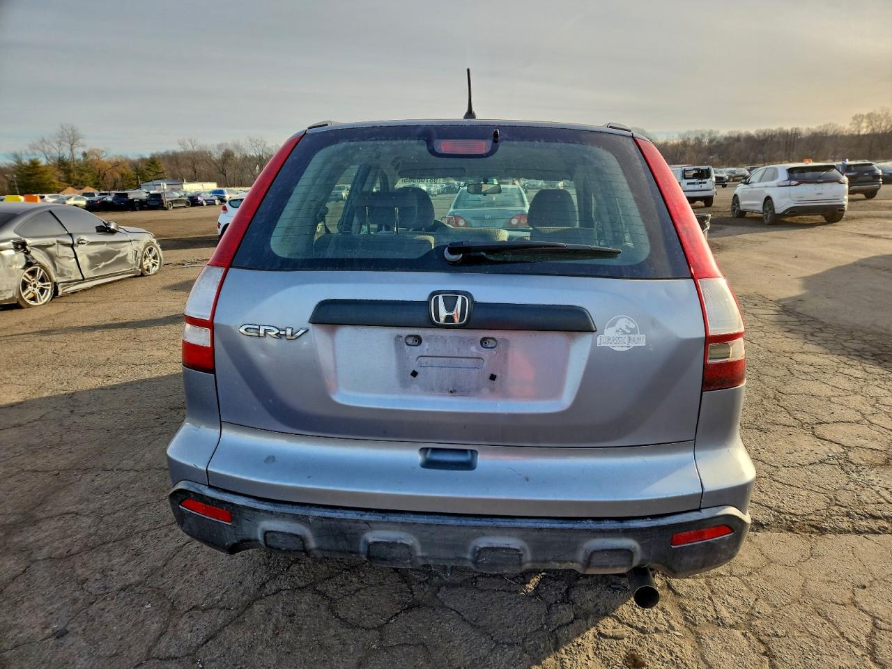 2007 HONDA CR-V LX photo 6