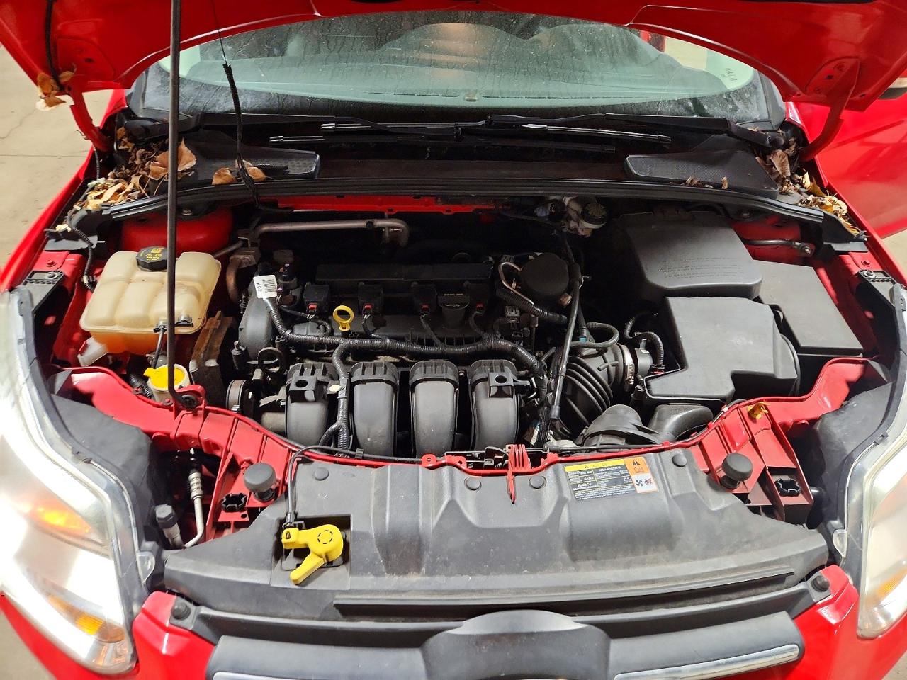 2014 FORD FOCUS SE photo 11