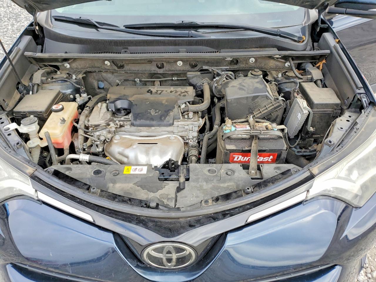 2017 TOYOTA RAV4 XLE photo 12