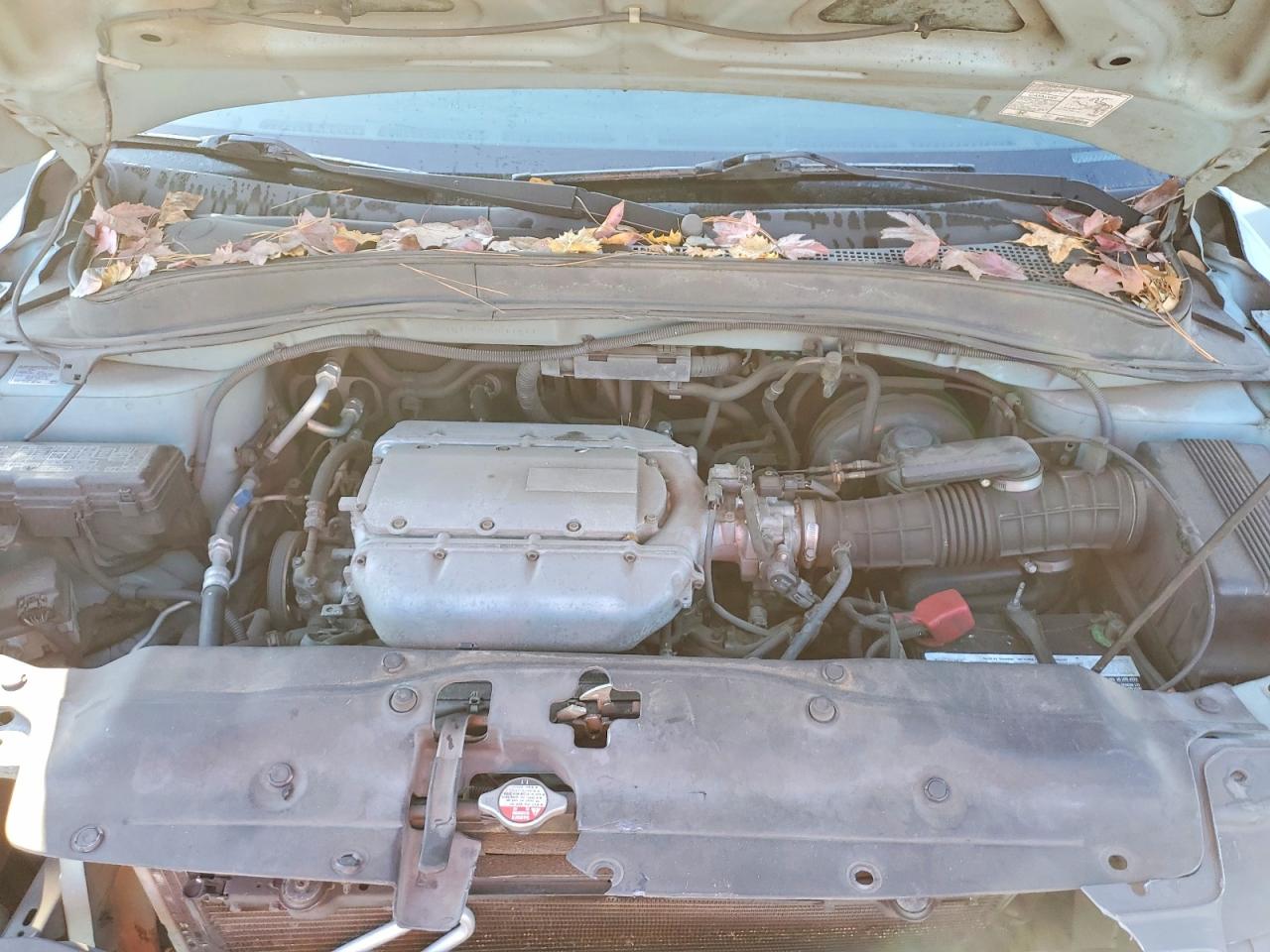 2003 HONDA PILOT EX photo 12