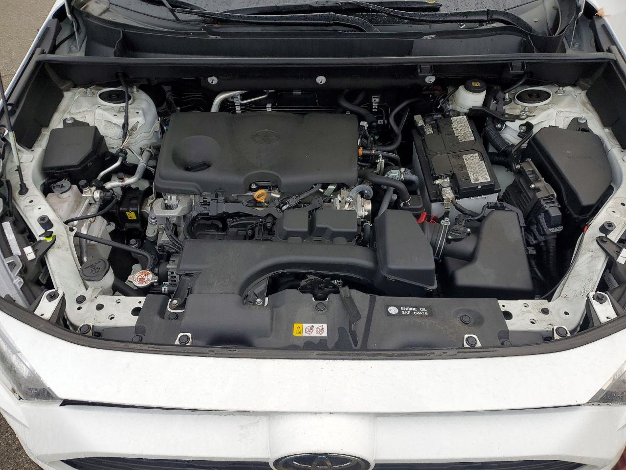 2024 TOYOTA RAV4 XLE photo 12