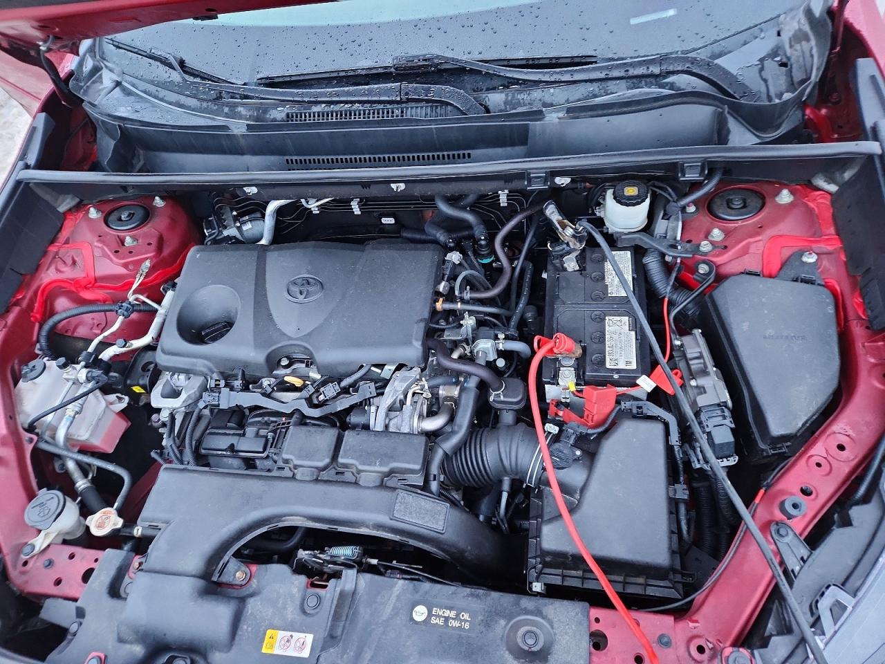 2021 TOYOTA RAV4 LE photo 12