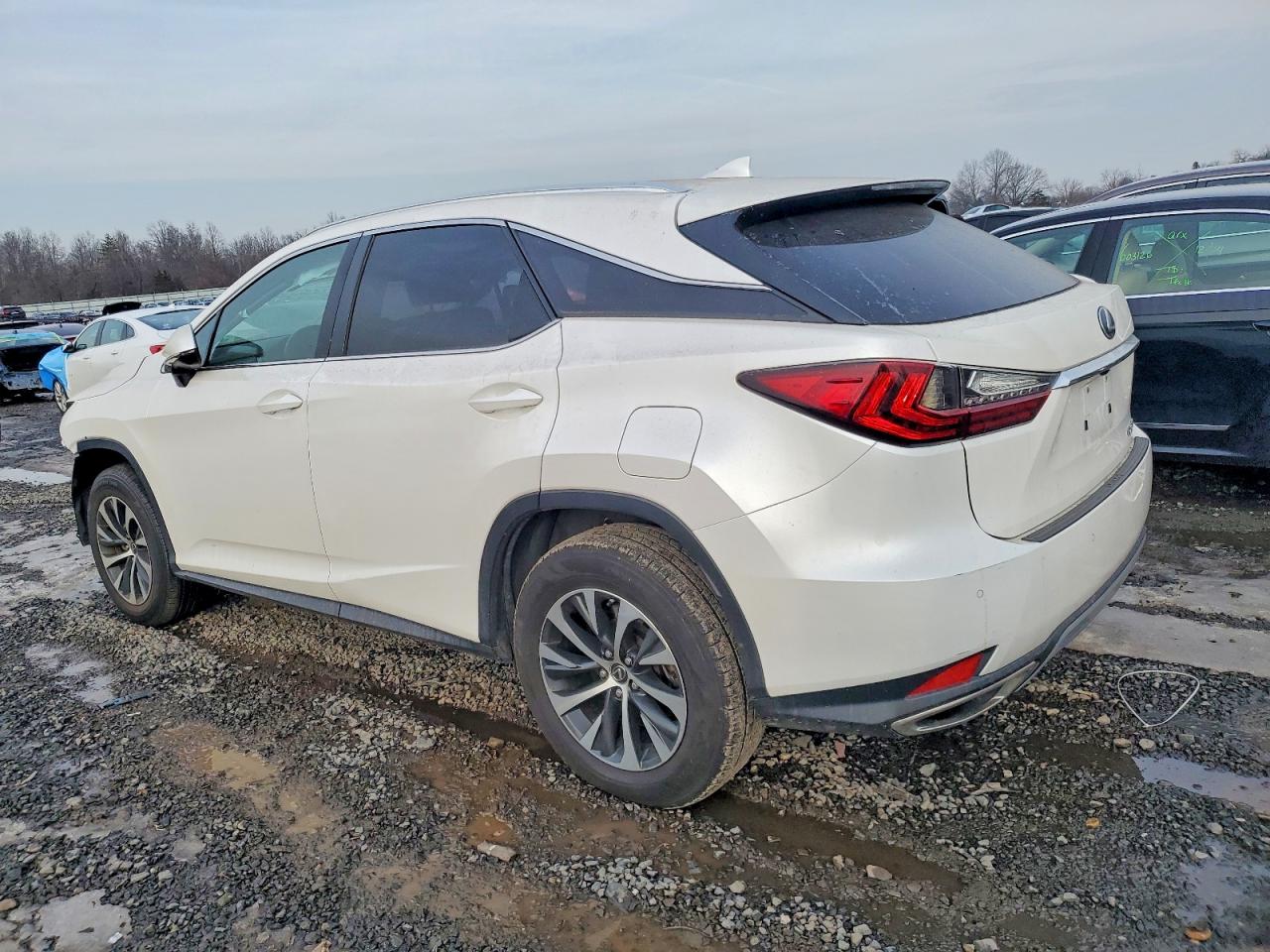 2020 LEXUS RX 350 photo 2