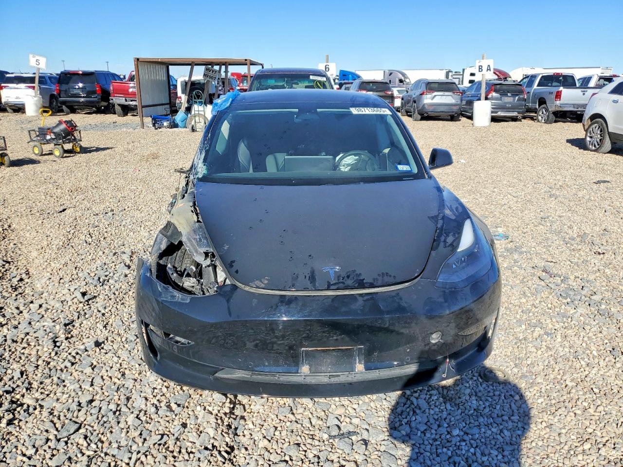 2021 TESLA MODEL 3 photo 5