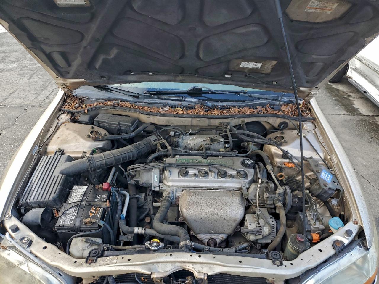 2000 HONDA ACCORD SE photo 11