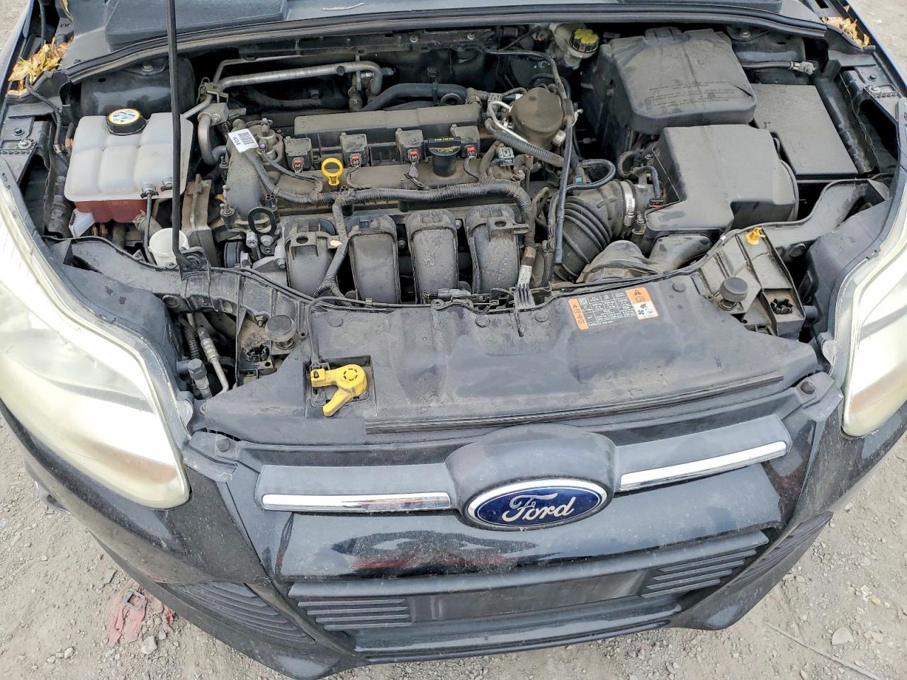 2014 FORD FOCUS SE photo 11