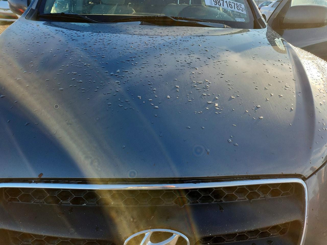 2009 HYUNDAI SANTA FE SE photo 12