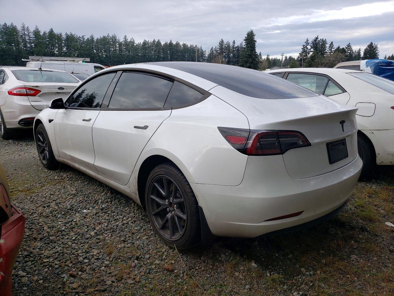 2023 TESLA MODEL 3 photo 2