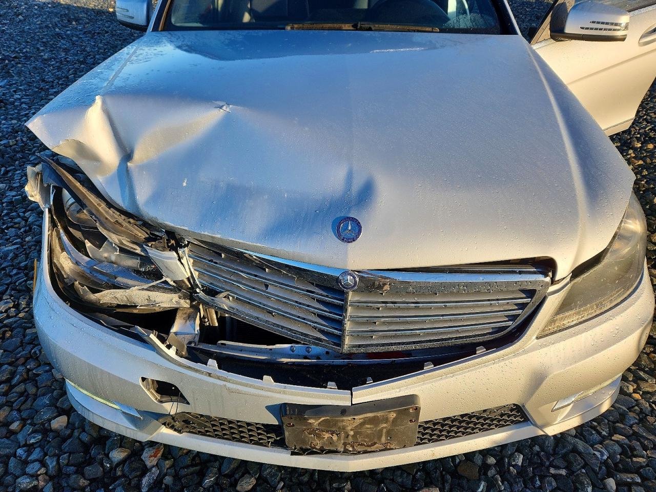 2014 MERCEDES-BENZ C 250 photo 11