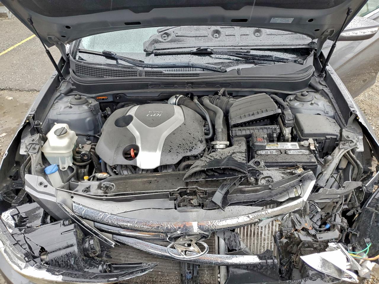 2014 HYUNDAI SONATA SE photo 11