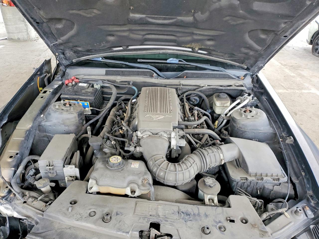 2008 FORD MUSTANG GT photo 11