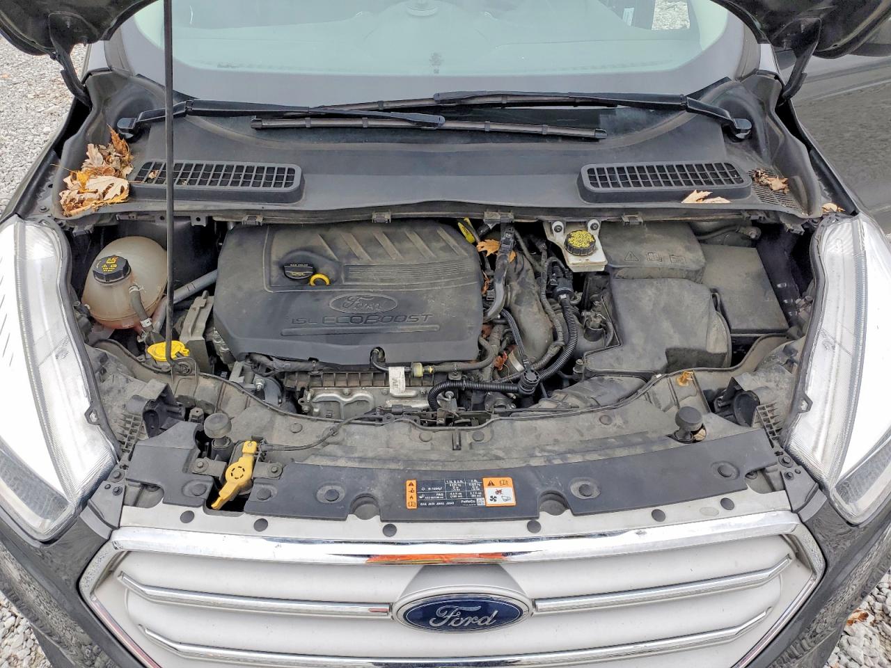 2018 FORD ESCAPE SE photo 12