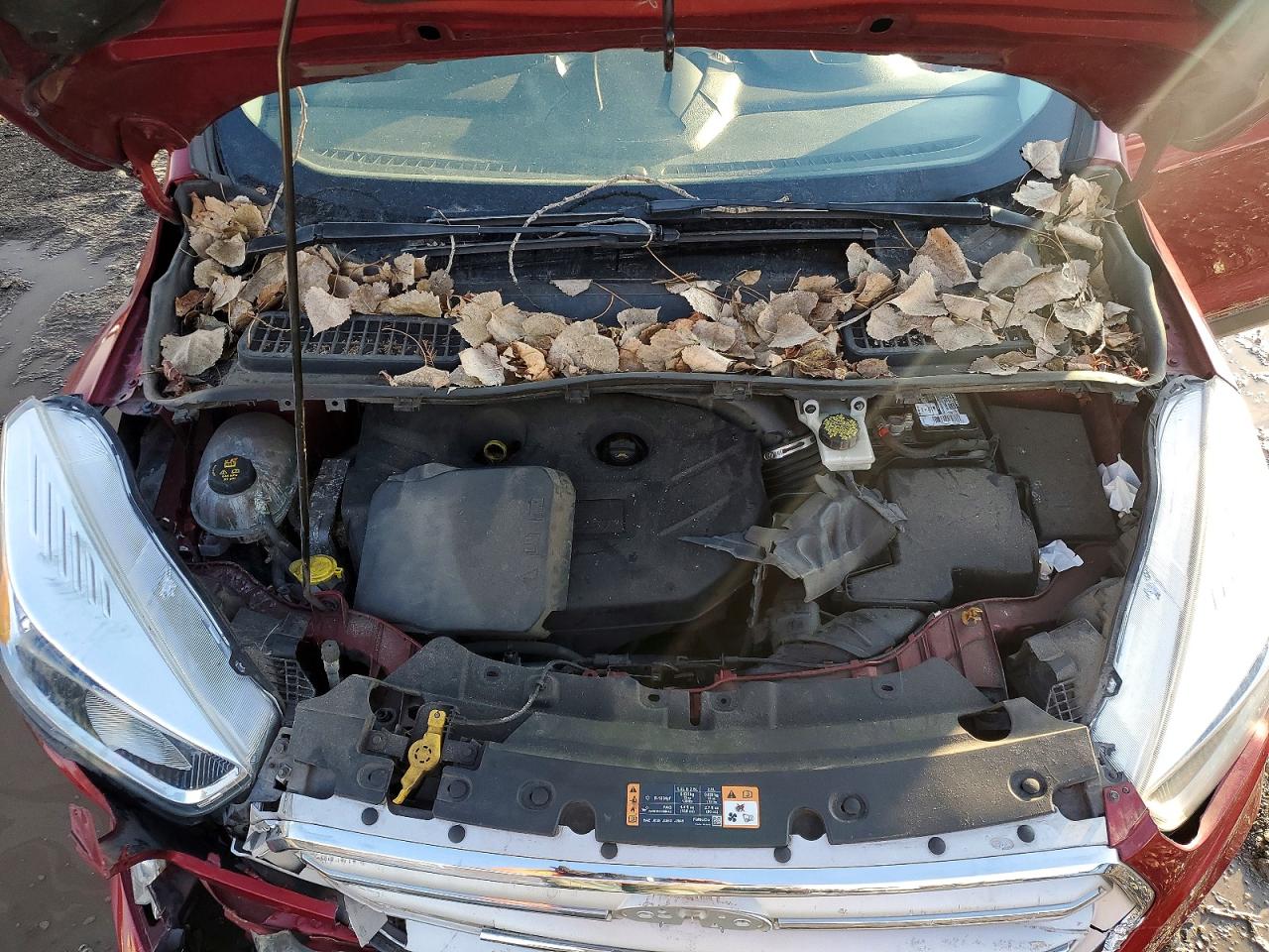 2018 FORD ESCAPE SE photo 12