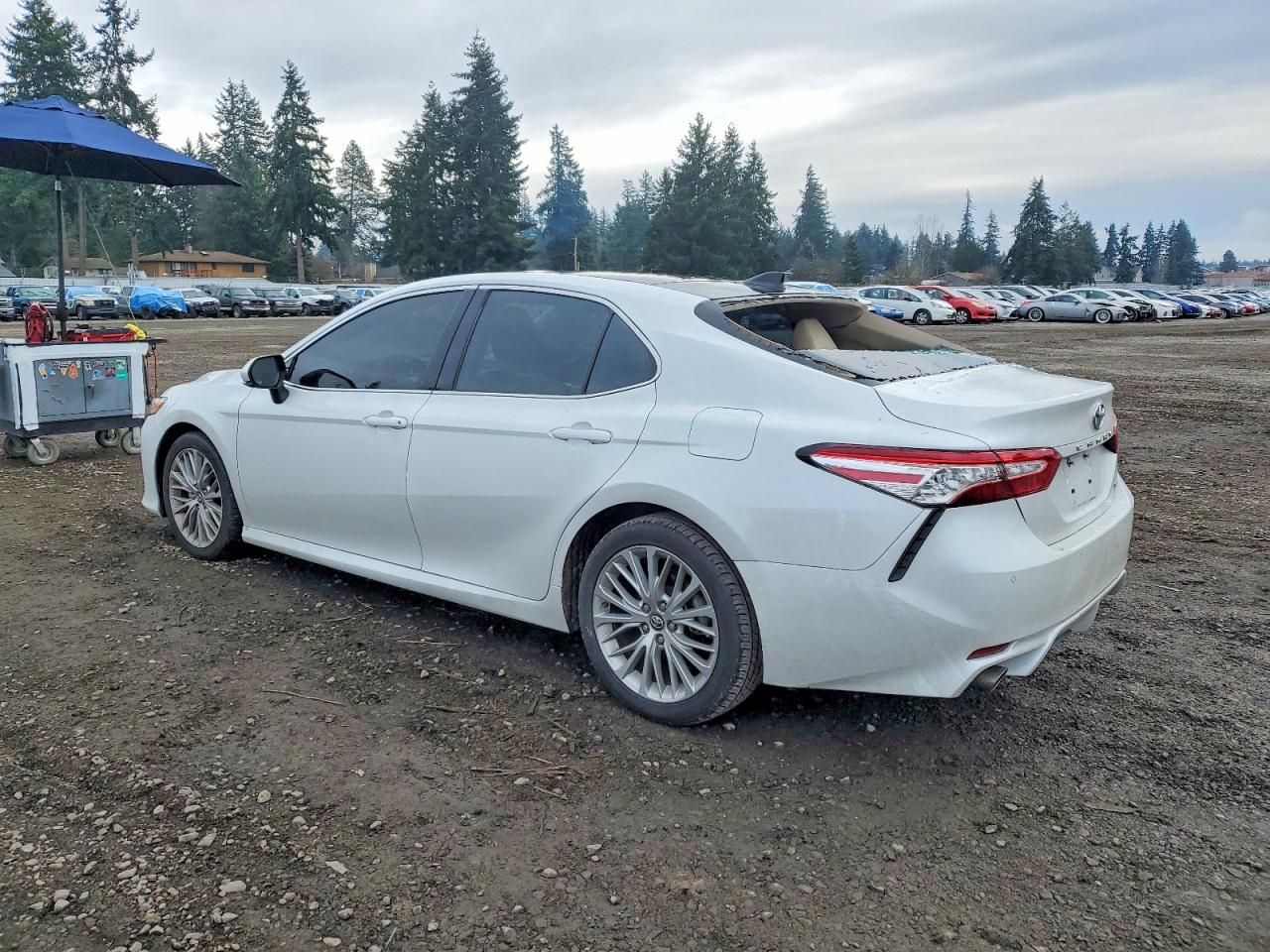 2019 TOYOTA CAMRY XSE photo 2