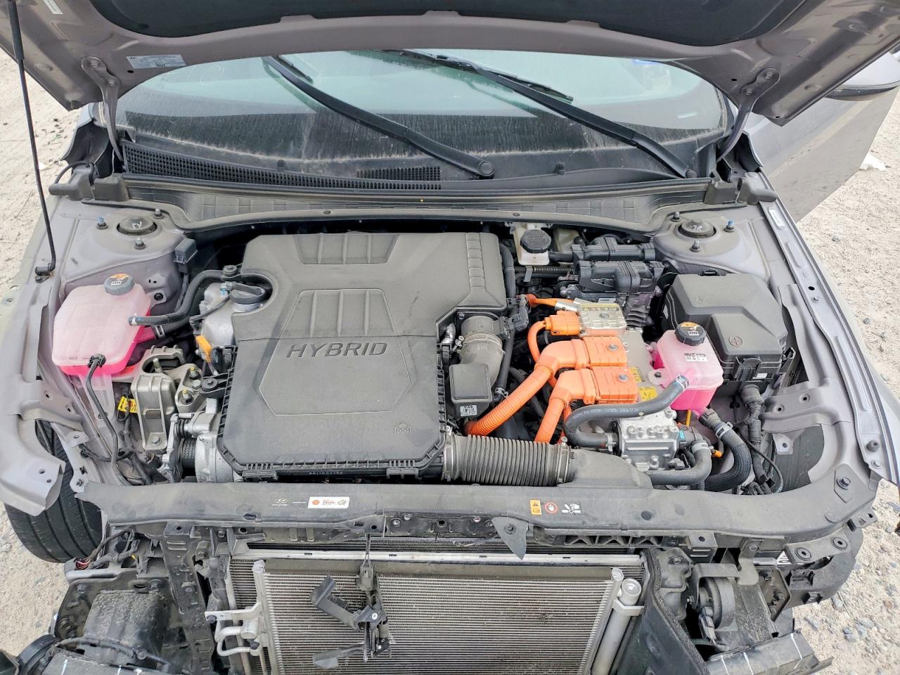 2025 HYUNDAI ELANTRA LIMITED photo 11