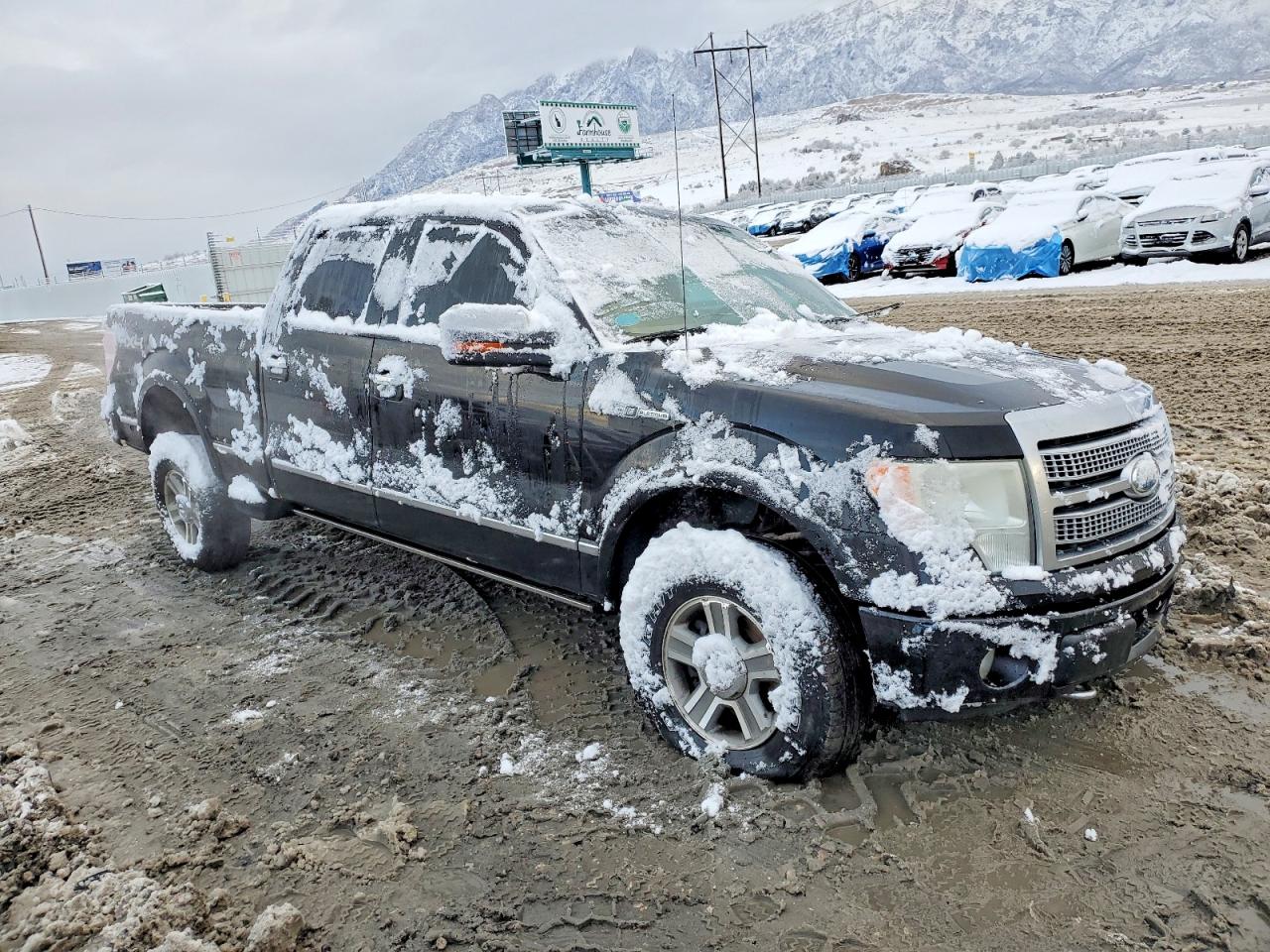 2009 FORD F150 SUPERCREW photo 4