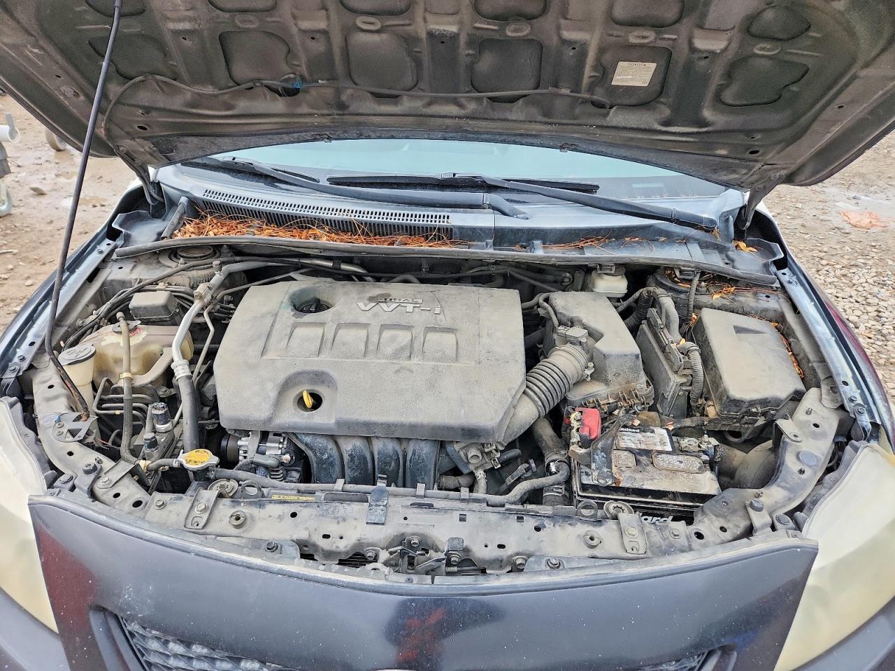 2010 TOYOTA COROLLA BASE photo 11