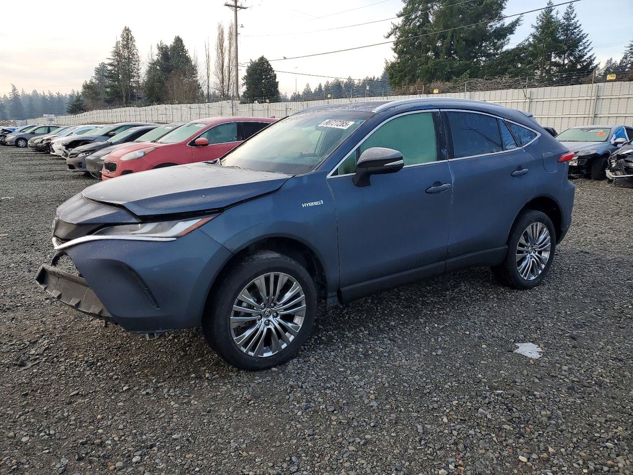 2021 TOYOTA VENZA