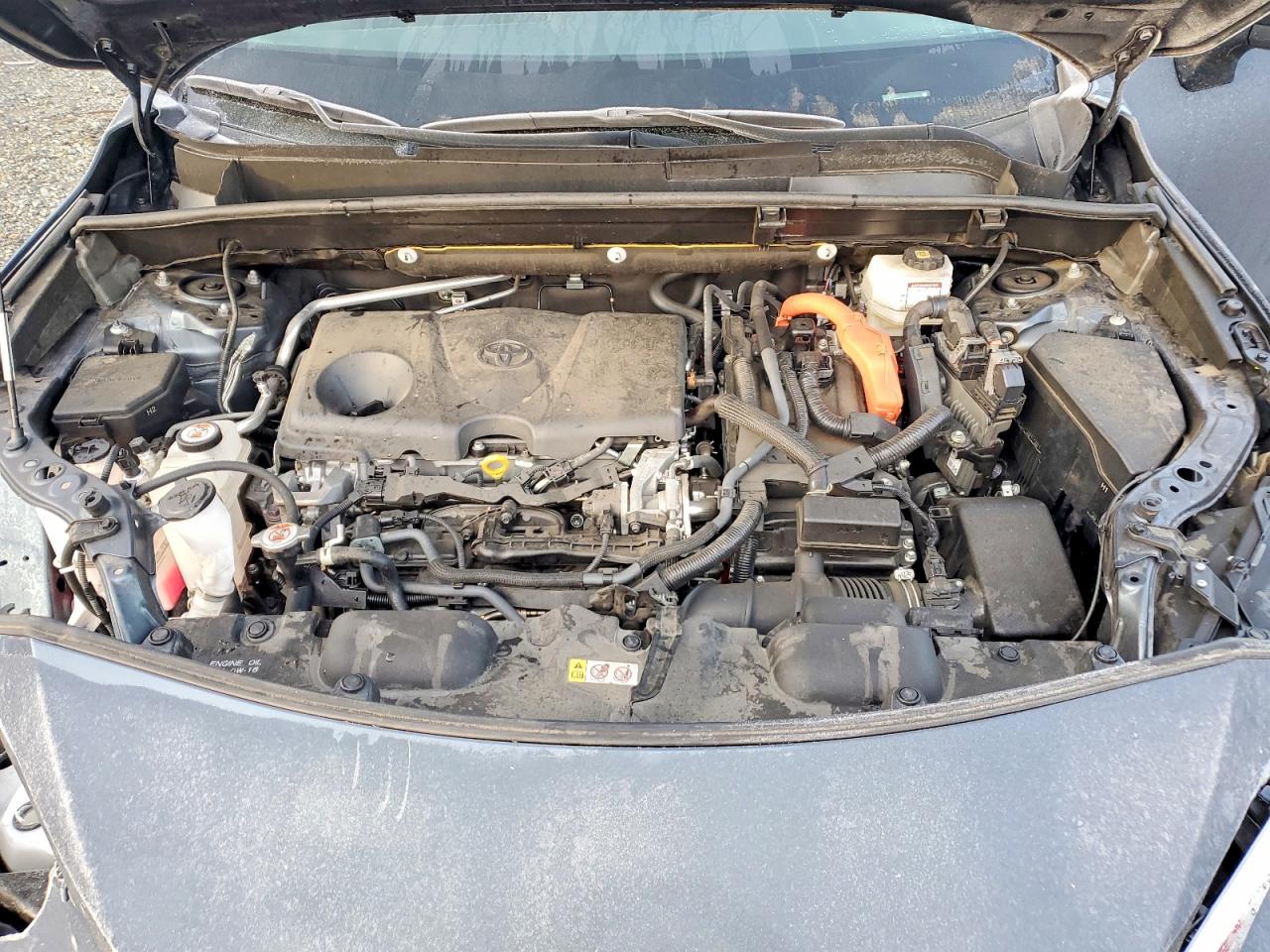 2021 TOYOTA VENZA LE photo 11