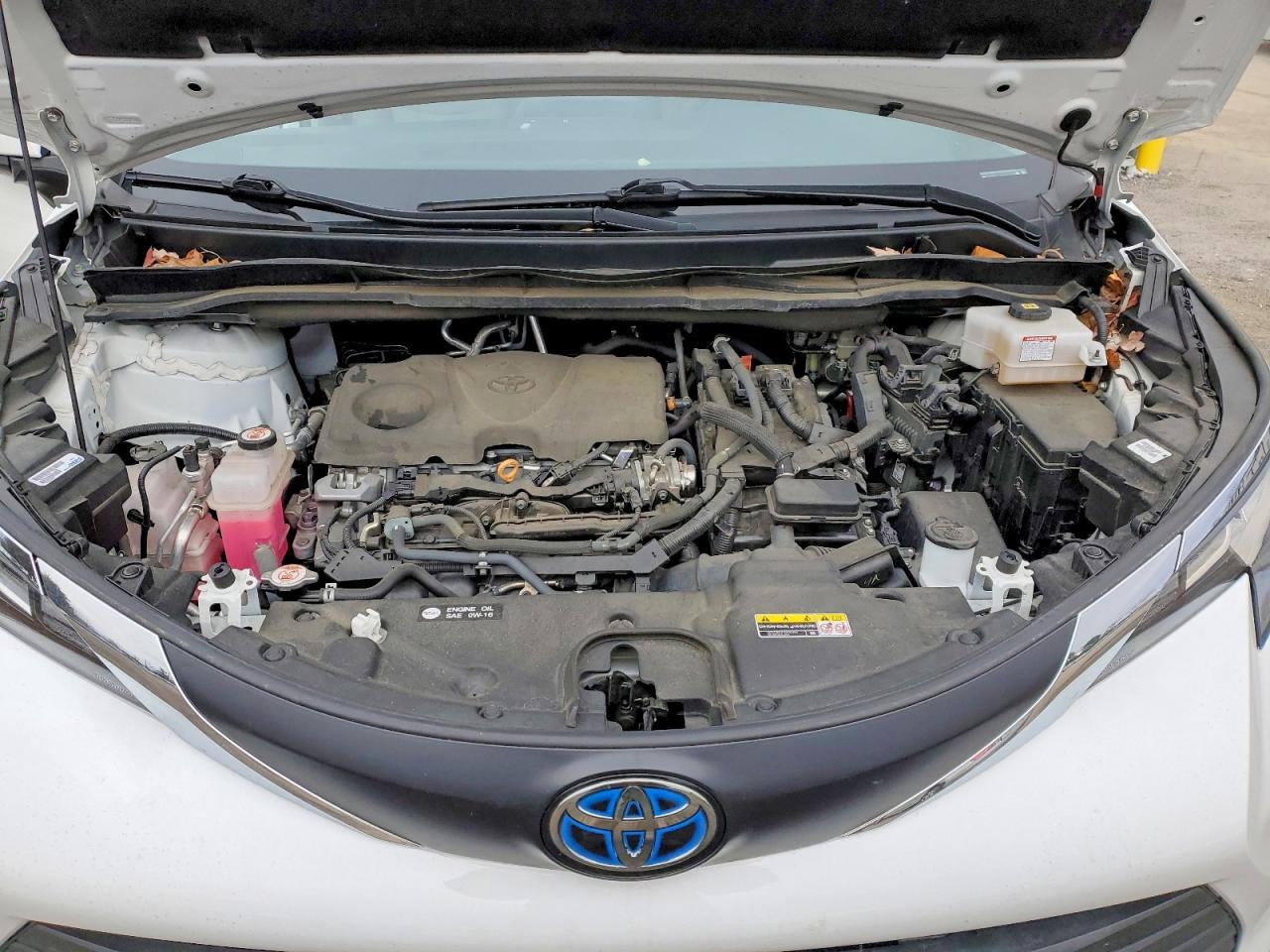 2022 TOYOTA SIENNA LE photo 12