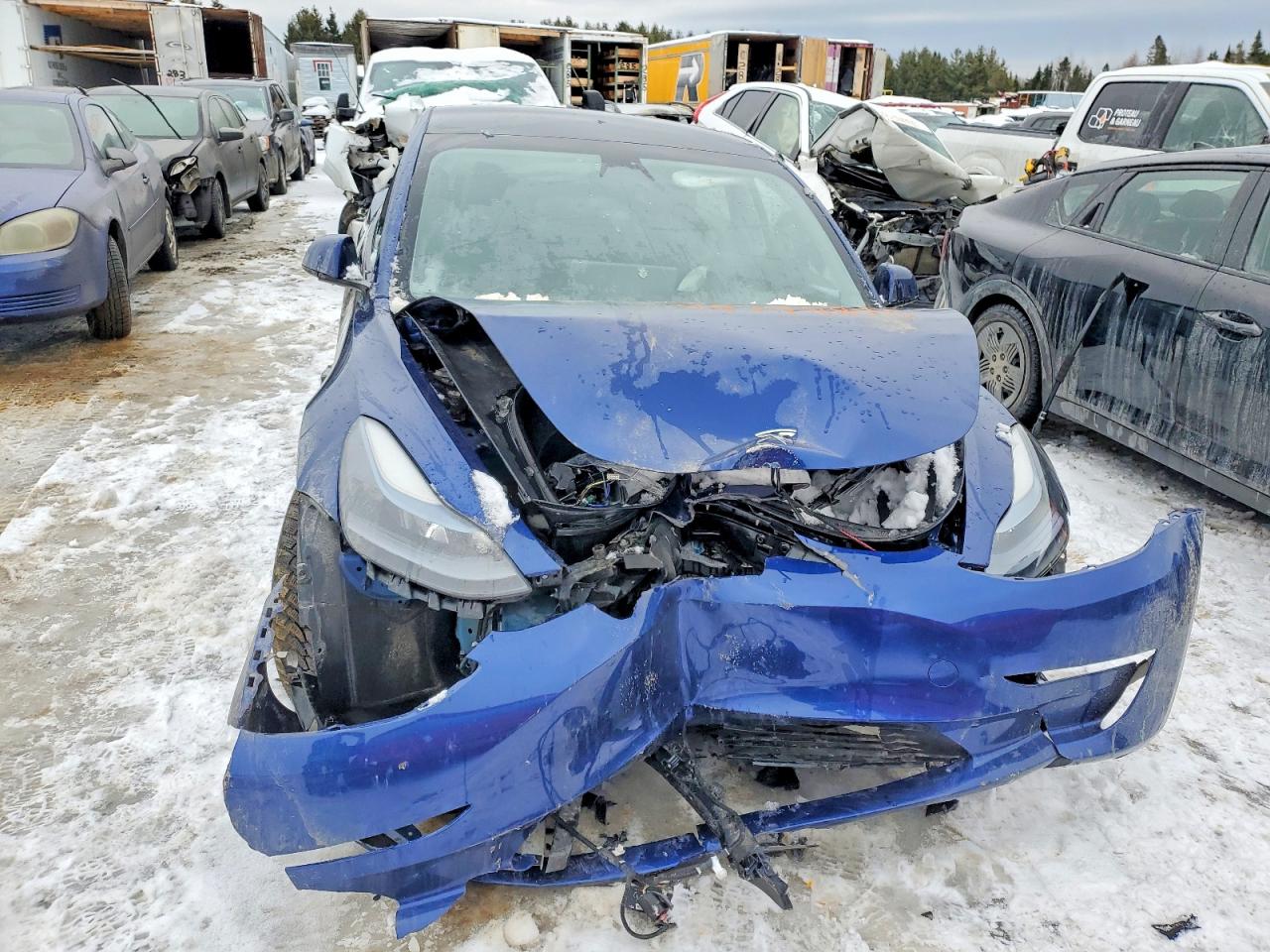2023 TESLA MODEL 3 photo 5